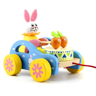 Wooden Drum Pull Toy